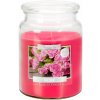 Bispol Aura Maxi Rose 500 g Bispol Aura Maxi Rose 500 g