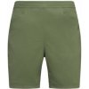 La Sportiva GAMBIT SHORT Men zelená M La Sportiva GAMBIT SHORT Men zelená M