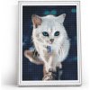 Diamantové maľovanie - Biele mačiatko Diamantové maľovanie - Biele mačiatko