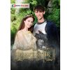 Pravý rytíř - DVD Pravý rytíř - DVD