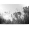 Podložka pod kancelársku stoličku Podložka pod kancelársku stoličku misty forest mwp-w0013022 Podložka pod kancelársku stoličku Podložka pod kancelársku stoličku misty forest mwp-w0013022