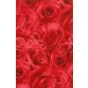 Baliaci papier ruža 2 x 0,7 m Baliaci papier ruža 2 x 0,7 m