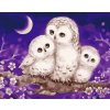 Amparo Miranda® Maľovanie podľa čísiel Soví rodina Amparo Miranda® Maľovanie podľa čísiel Soví rodina