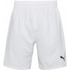 Pánske futbalové šortky Puma, TEAMFINAL SHORTS Biela,Čierna L Pánske futbalové šortky Puma, TEAMFINAL SHORTS Biela,Čierna L