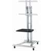 Neomounts PLASMA-M1800E / Mobile Flat Screen Floor Stand (height: 110-180 cm) / Silver PLASMA-M1800E Neomounts PLASMA-M1800E / Mobile Flat Screen Floor Stand (height: 110-180 cm) / Silver PLASMA-M1800E