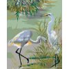 ZUTY Maľovanie podľa čísel - DVE VOLAVKY POPOLAVÉ PRI JAZERE Rámovanie: bez rámu a bez vypnutia plátna, Rozmer: 80x100 cm ZUTY Maľovanie podľa čísel - DVE VOLAVKY POPOLAVÉ PRI JAZERE Rámovanie: bez rámu a bez vypnutia plátna, Rozmer: 80x100 cm