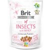 Brit Care Dog Puppy Insects with Whey & Probiotics 200 g Brit Care Dog Puppy Insects with Whey & Probiotics 200 g