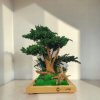 Stabilizovaný machový bezúdržbový bonsaj z jalovca a machu 52 cm v dubovom kvetináči Stabilizovaný machový bezúdržbový bonsaj z jalovca a machu 52 cm v dubovom kvetináči