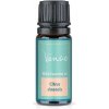 Esenciálny olej Pomaranč Venoc 10 ml Esenciálny olej Pomaranč Venoc 10 ml