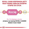 Royal Canin Maine Coon Kitten suché krmivo pro kočky Kotě Drůbež, Rýže 400 g Royal Canin Maine Coon Kitten suché krmivo pro kočky Kotě Drůbež, Rýže 400 g