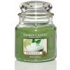 Yankee Candle Vanilla Lime vonná svíčka 104 g