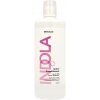 Indola Color Conditioner 1000 ml Indola Color Conditioner 1000 ml
