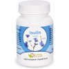 Natural Pharm Inulín 100 tabliet Natural Pharm Inulín 100 tabliet