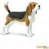 Safari Ltd. Safai Beagle