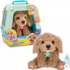 Moose Toys Little Live Pets Pejsek Puppy Interaktivní Curley Moose Toys Little Live Pets Pejsek Puppy Interaktivní Curley