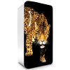 Fototapeta Dimex Panther 65 x 120 cm FR120-017 (Samolepiace fototapety na chladničku ) Fototapeta Dimex Panther 65 x 120 cm FR120-017 (Samolepiace fototapety na chladničku )