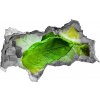 Nálepka 3D diera na stenu Lime ice 95x73 cm Nálepka 3D diera na stenu Lime ice 95x73 cm