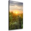 Vertikálny foto obraz canvas Pole pšenice 50x100 cm Vertikálny foto obraz canvas Pole pšenice 50x100 cm
