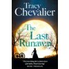 Last Runaway (Tracy Chevalier)(Brožovaná) Last Runaway (Tracy Chevalier)(Brožovaná)