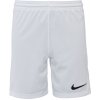 Nike DRI-FIT PARK 3 JR TQO