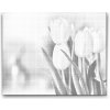 Vymalujsisam.sk Bodkovanie - Biele tulipány Farba: Zelená, Veľkosť: 40x50cm, Rám: Bez rámu, iba zrolované plátno Vymalujsisam.sk Bodkovanie - Biele tulipány Farba: Zelená, Veľkosť: 40x50cm, Rám: Bez rámu, iba zrolované plátno