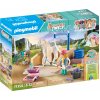 Playmobil 71354 Isabella&Lioness umývací box