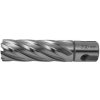 NÁSTROJE CZ vrták jadrový 20mm/30mm, WELDON 19, HSS VB020344420000 NÁSTROJE CZ vrták jadrový 20mm/30mm, WELDON 19, HSS VB020344420000