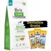 BRIT CARE Dog Grain-free Adult Large Breed Salmon 12kg + 3x DentaStix ZADARMO BRIT CARE Dog Grain-free Adult Large Breed Salmon 12kg + 3x DentaStix ZADARMO