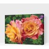 Vymalujsisam.sk Maľovanie podľa čísiel - Ruže, kvety krásy Veľkosť: 30x40cm, Rám: Bez rámu, iba zrolované plátno Vymalujsisam.sk Maľovanie podľa čísiel - Ruže, kvety krásy Veľkosť: 30x40cm, Rám: Bez rámu, iba zrolované plátno