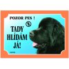 Dafiko Tabuľka novofoundlandský pes čierny 1 ks