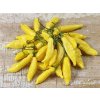 Lemon drop (semená) chilli Lemon drop (semená) chilli
