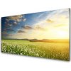 Skleneny obraz Lúka kvety príroda 100x50 cm Skleneny obraz Lúka kvety príroda 100x50 cm