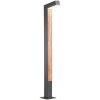 Redo Redo 90512 - LED Vonkajšia lampa WOODY LED/10W/230V IP54 antracit UN1102 + záruka 3 roky zadarmo + záruka 3 roky zadarmo Redo Redo 90512 - LED Vonkajšia lampa WOODY LED/10W/230V IP54 antracit UN1102 + záruka 3 roky zadarmo + záruka 3 roky zadarmo