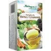 Herbapol Bylinný čaj moruša a škorica 20 ks
