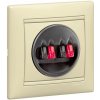 Legrand 774324 VALENA ZÁSUVKA PRE REPRODUKTOR DVOJITÁ BÉŽOVÁ + predĺžená záruka na 3 roky Legrand 774324 VALENA ZÁSUVKA PRE REPRODUKTOR DVOJITÁ BÉŽOVÁ + predĺžená záruka na 3 roky