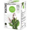 Fytopharma Šalvia vňať sypaná XXL Fytopharma Šalvia vňať sypaná XXL