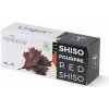 Véritable Lingot Fialový shiso - BIO (VLIN-S5-SHI033) Véritable Lingot Fialový shiso - BIO (VLIN-S5-SHI033)