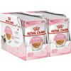 Royal Canin Kitten Instinctive Jelly v želé 24 x 85 g