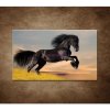 Obraz - Skákajúci kôň 90x60cm Obraz - Skákajúci kôň 90x60cm