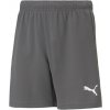 Puma | teamRISE Short Jr | šedá| 164 Puma | teamRISE Short Jr | šedá| 164