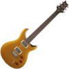 PRS SE DGT Gold Top PRS SE DGT Gold Top