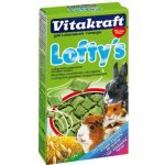 Vitakraft Rodenta Lofty 's all Rodenta 100 g