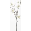KS MAGNOLIA SPRAY.65CM .KREM KS MAGNOLIA SPRAY.65CM .KREM