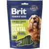 Brit Premium Dog by Nature Dental Snacks M 180 g Brit Premium Dog by Nature Dental Snacks M 180 g