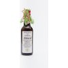 Sedmikráska bylinný extrakt Skorocel 250ml dýchacia sústava, antioxidant, trávenie, pečeň, črevný trakt, prečistenie Sedmikráska bylinný extrakt Skorocel 250ml dýchacia sústava, antioxidant, trávenie, pečeň, črevný trakt, prečistenie