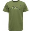 Alpine Pro Grem 2 Pánske rýchloschnúce tričko MTSF96F turtle green XXL-G Alpine Pro Grem 2 Pánske rýchloschnúce tričko MTSF96F turtle green XXL-G
