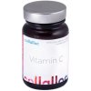 Collalloc Vitamin C v prášku, 60 g Výživový doplnok Collalloc Vitamin C v prášku, 60 g Výživový doplnok