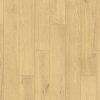 SolidStep Living Dub Lavish ST19 2,22 m²