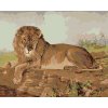 ZUTY Maľovanie podľa čísel - LEV NA SAVANE Rámovanie: bez rámu a bez vypnutia plátna, Rozmer: 80x100 cm ZUTY Maľovanie podľa čísel - LEV NA SAVANE Rámovanie: bez rámu a bez vypnutia plátna, Rozmer: 80x100 cm