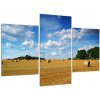 Letné pole - obraz (Obraz 90x60cm) Letné pole - obraz (Obraz 90x60cm)
